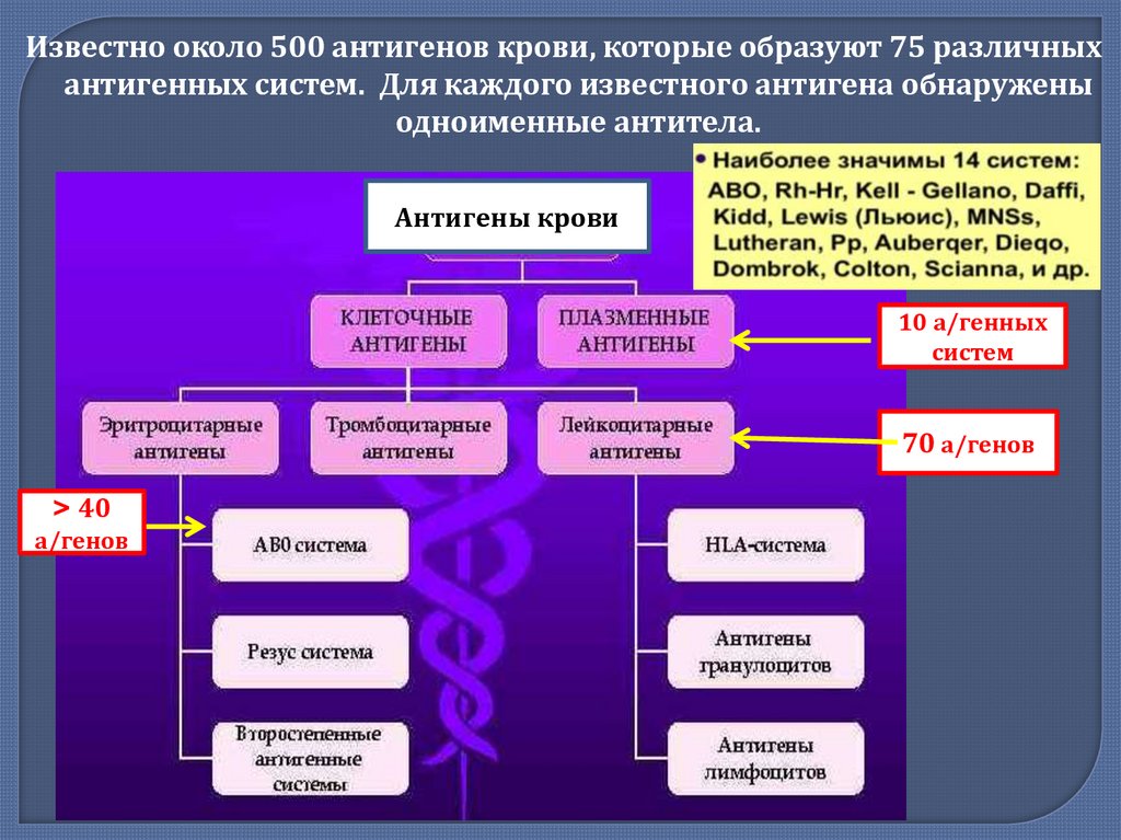 Известная система. Известные антигены. Морфофункциональная характеристика крови. Какие системы антигенов известны. Известно антигенных систем 75.