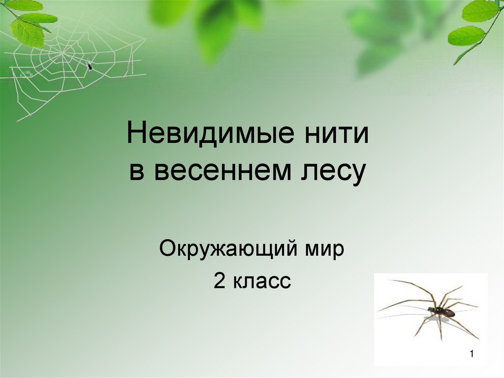 Приведи свой пример невидимых нитей в весеннем лесу изобрази в виде схемы