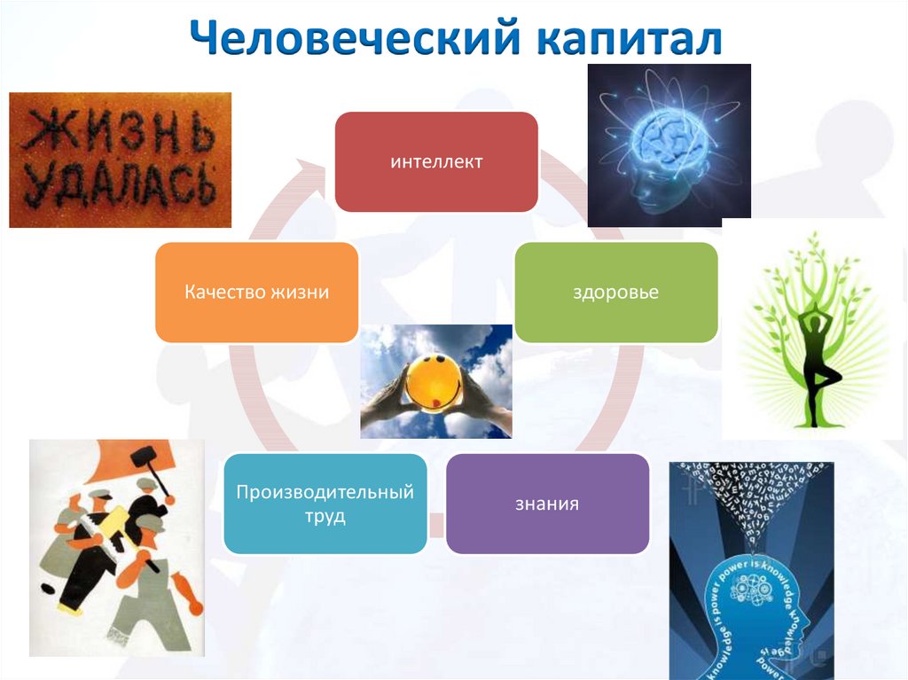 Человеческий капитал это. Человеческий капитал. Человеческий капитал этт. Человечески аопетал это. Нарисовать человеческий капитал.