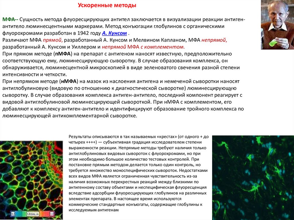 Схема риф микробиология