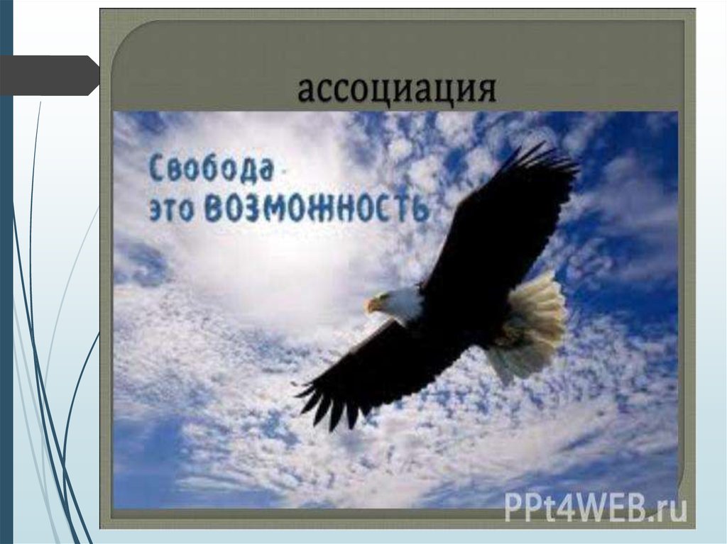 Сущность свободы. Свобода ассоциации. Ассоциации со словом Свобода. Что такое Свобода человека ассоциации. Свобода это отсутствие преград и помех.