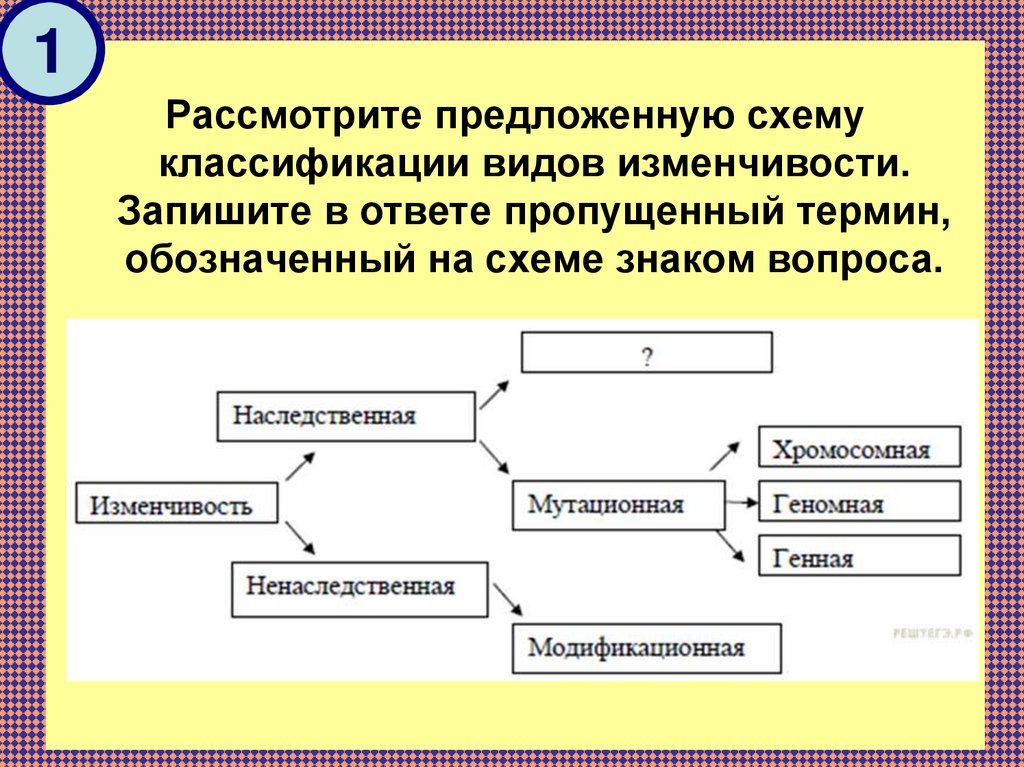 Рассмотрите предложенную схему классификации видов изменчивости