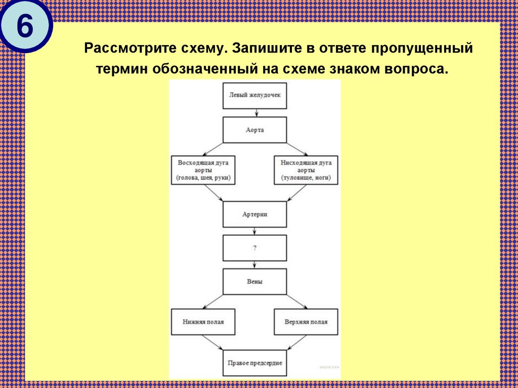 Рассмотрите схему обработка информации что следует вписать в блок содержащий знак вопроса