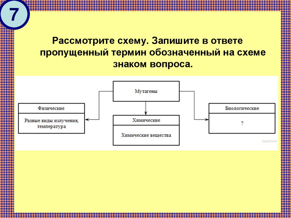 Функциональная схема задачи