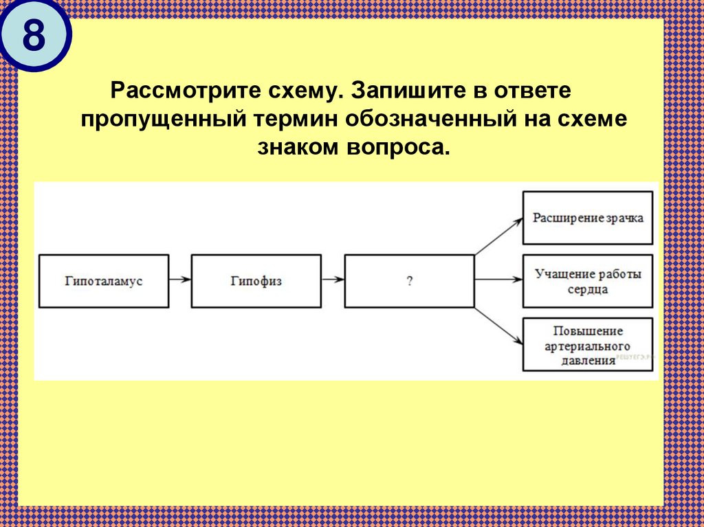 Пропускать рассматривать. Рассмотрите схему. Рассмотрите схему. Запишите в ответе пропущенный термин. Гипоталамус схема ЕГЭ. Описать схему.