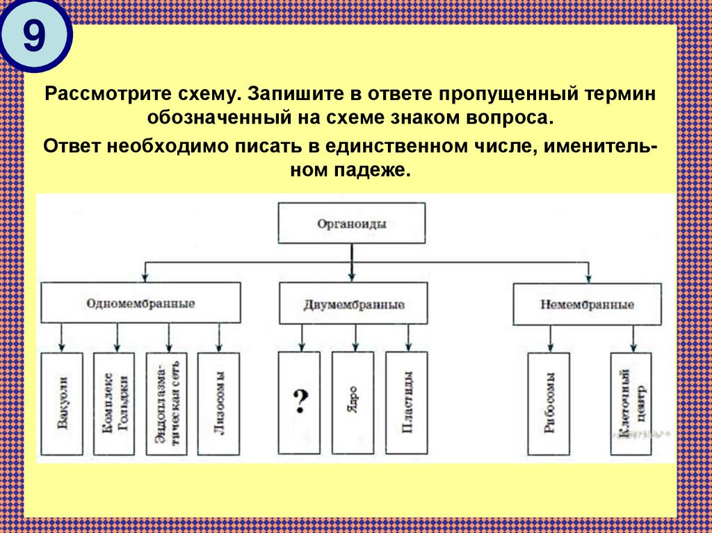 Схема типов городов