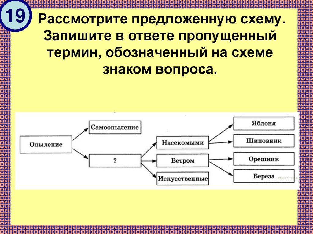 Рассмотрите схему обработка информации что следует вписать в блок содержащий знак вопроса