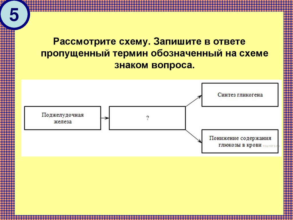 Практическая работа схематическое изображение составляющих проекта