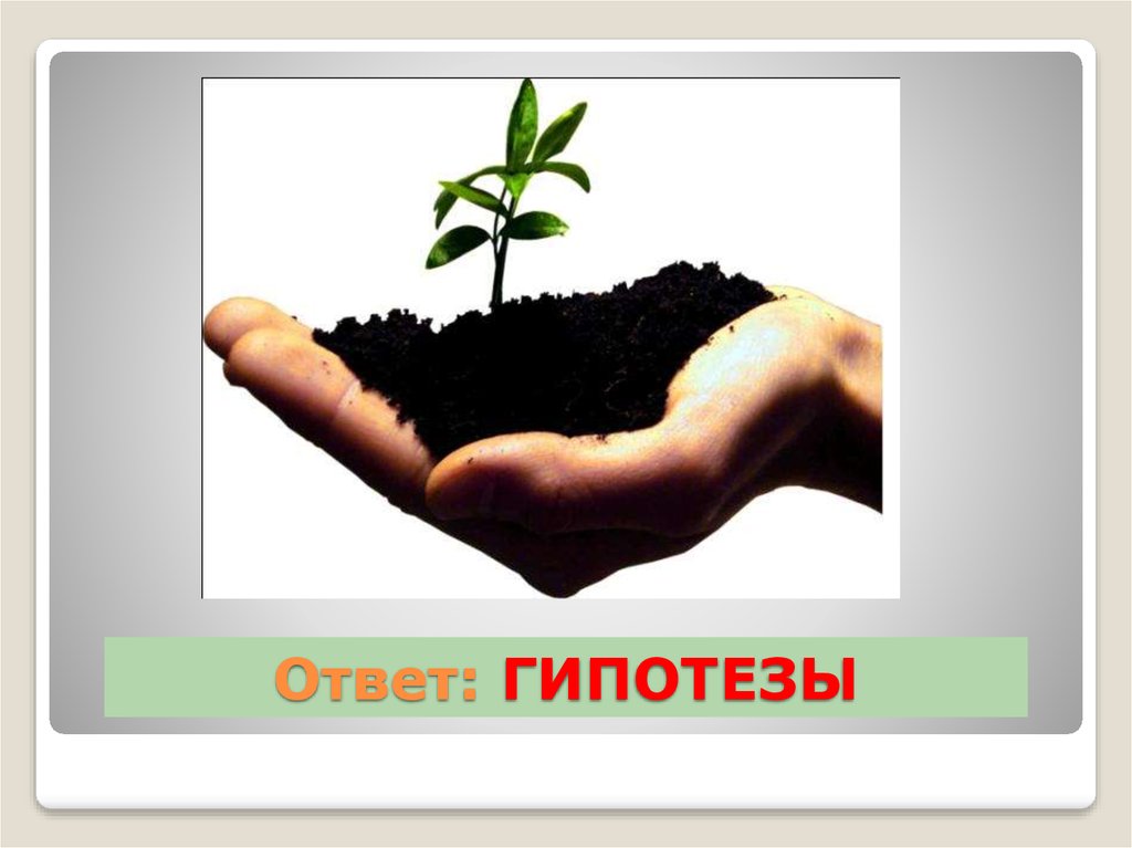 Ответ: ГИПОТЕЗЫ