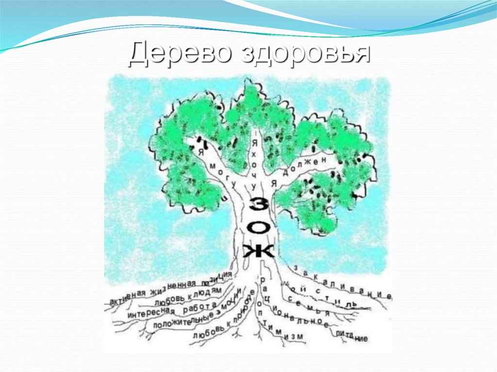 Выбирайте дерево и живите. Дерево здоровья. Плакат дерево здоровья. ЗОЖ дерево здоровья. Дерево здоровья рисование.
