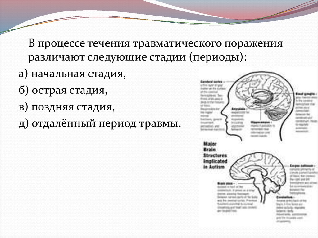 Травматическая болезнь мозга. Травматические поражения головного мозга. Травматическая болезнь головного мозга периоды. Различают следующие типы травматический болезни головного мозга. Травматические поражения головного мозга психиатрия.