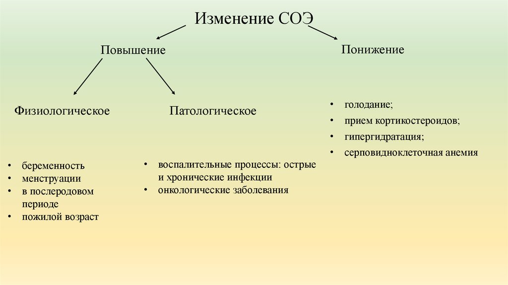 Соэ причины. Физиологическое повышение СОЭ. Факторы влияющие на понижение СОЭ. Причины изменения СОЭ. Факторы повышающие СОЭ.