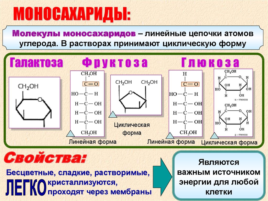 Углеводы химия 10 класс конспект. 10 Кл химия углеводы моносахариды. 9 Класс биология углеводы моносахариды. Линейные формы моносахаридов. Важнейшие моносахариды.