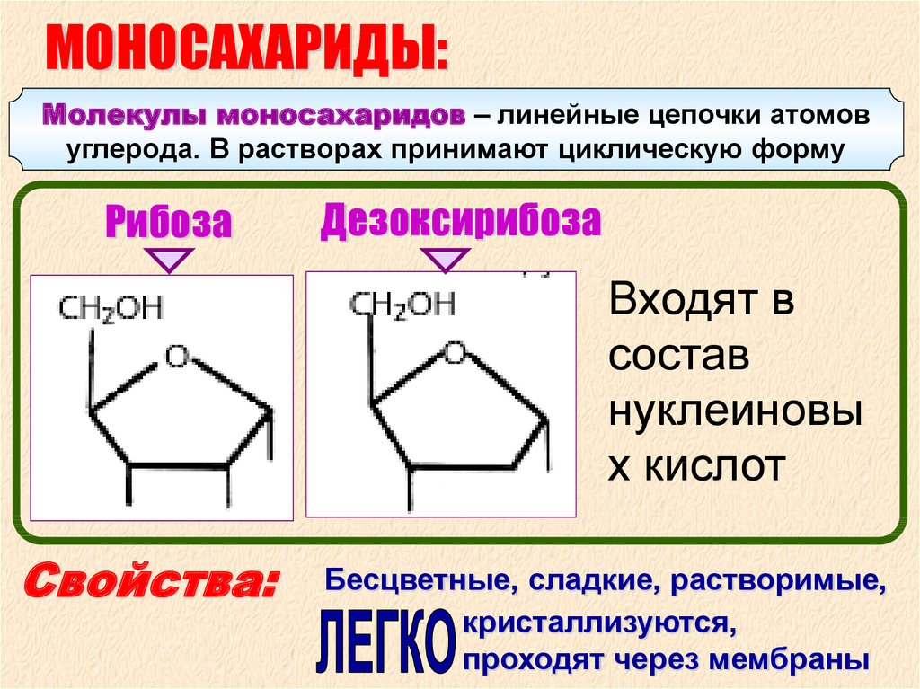 Рибоза входит в состав. 2-Дезоксирибоза биороль. Рибоза это моносахарид. Дезоксирибоза циклическая формула. Дезоксирибоза альдегидная группа.