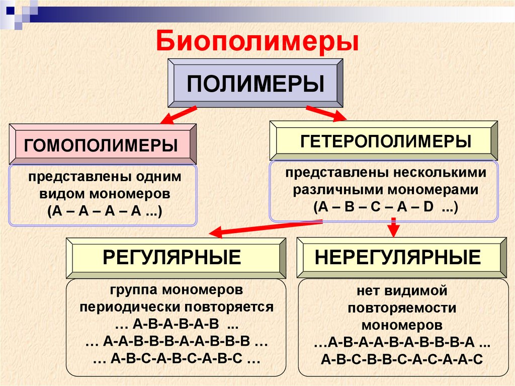 Вещества мономеры. Полимеры биополимеры мономеры 10 класс. Гомополимеры и гетерополимеры. Регулярные и нерегулярные биополимеры. Регулярные биополимеры.