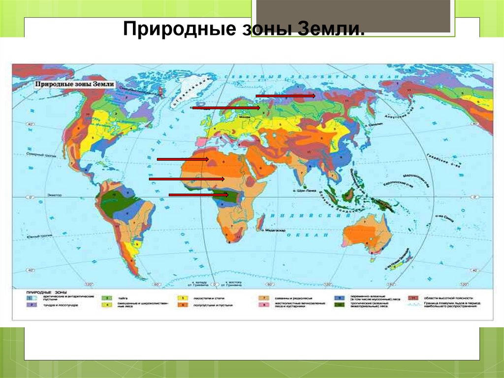 Растительность природных зон земли 7 класс биология. Природные зоны. Природные зоны земли карта.