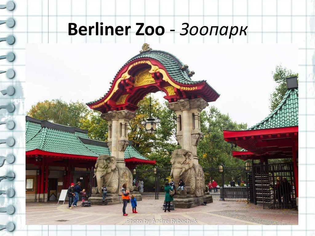 Berliner Zoo - Зоопарк