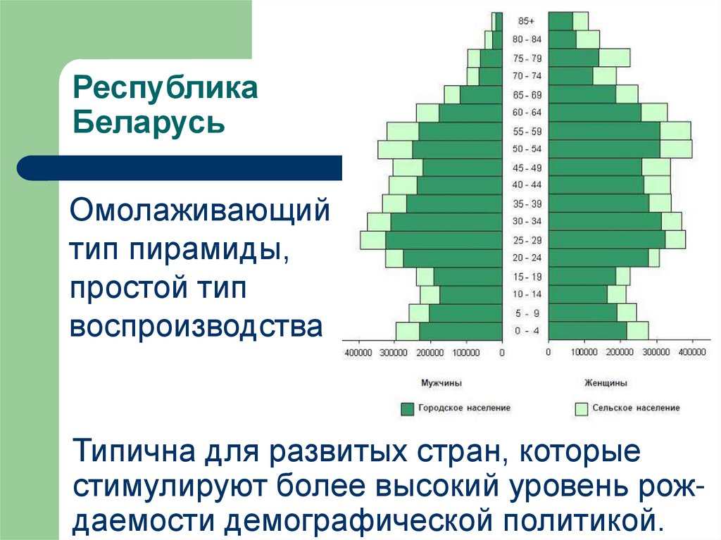 Тип воспроизводства сша. Тип воспроизводства населения Белоруссии. Беларусь Тип воспроизводства населения. Типы воспроизводства пирамиды. Беларусь пирамида населения.