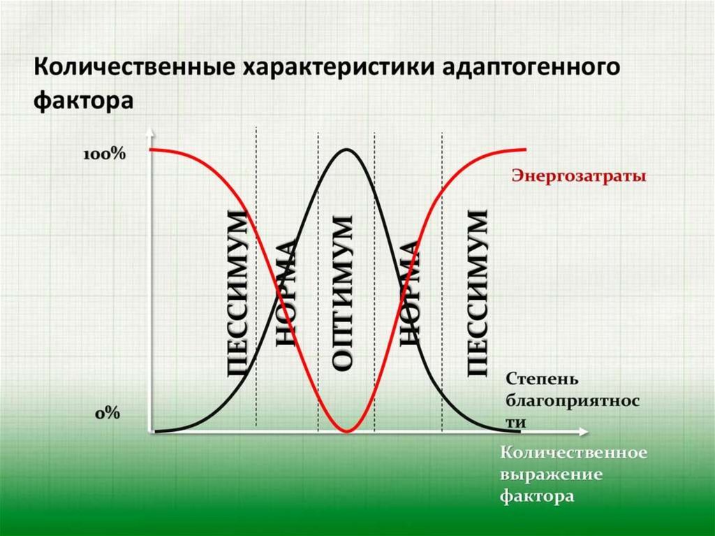 Структурные основы адаптации и компенсации нарушенных функций руководство