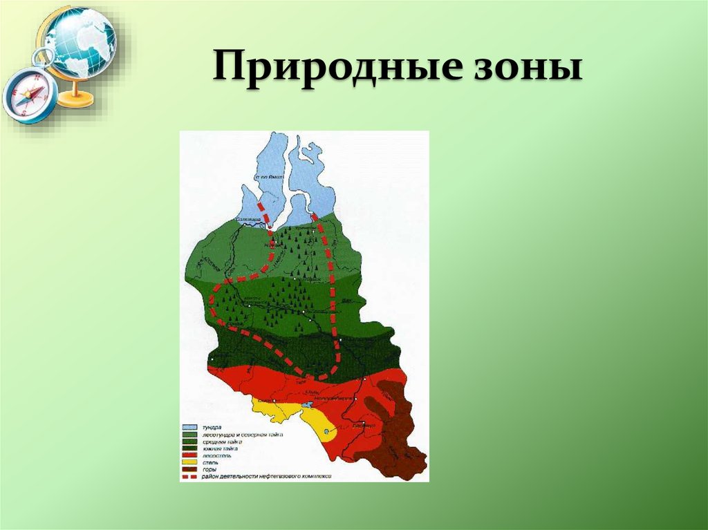 Липецк какая природная зона. Природные зоны Западно сибирской равнины. Природные зоны Западно сибирской равнины на карте. Географическое зонирование Красноярского края. Природные зоны Западно сибирской равнины на контурной карте.