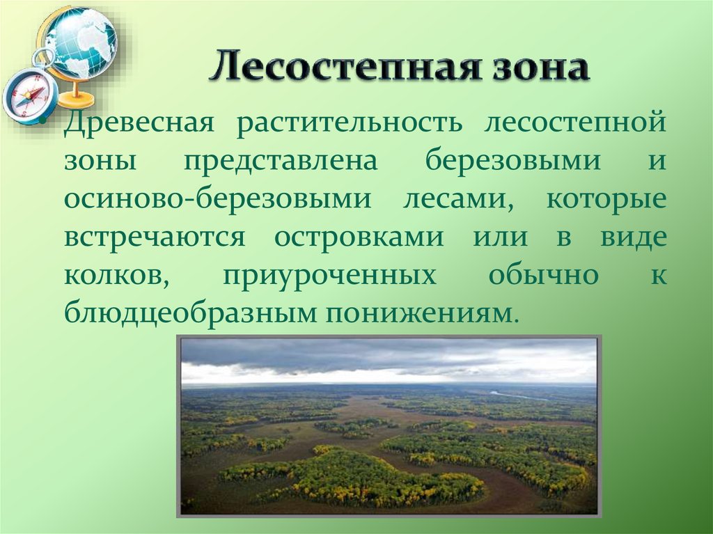 В какой природной зоне омская область. Лесостепная зона. Лесостепная зона растительность. Лесостепная зона России. Лесостепная зона Казахстана.