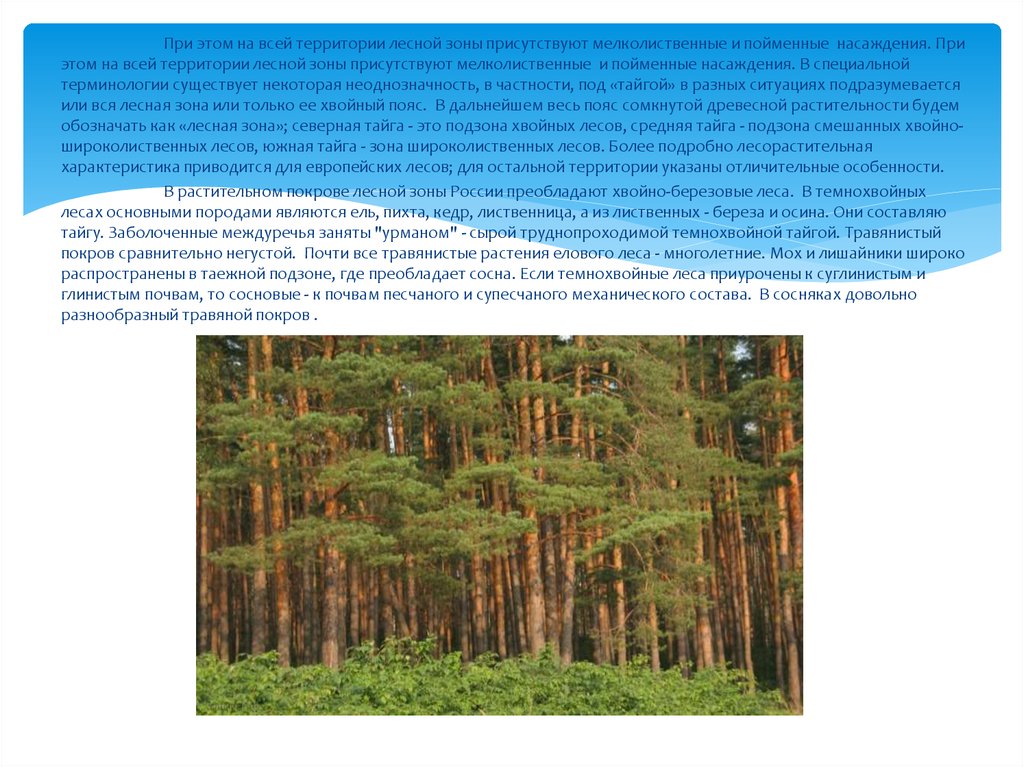 Лесная зона занимает большую часть климатического. Зона лесов России. Широколиственно-темнохвойные леса. Лесные зоны России презентация. Подзона широколиственных лесов.