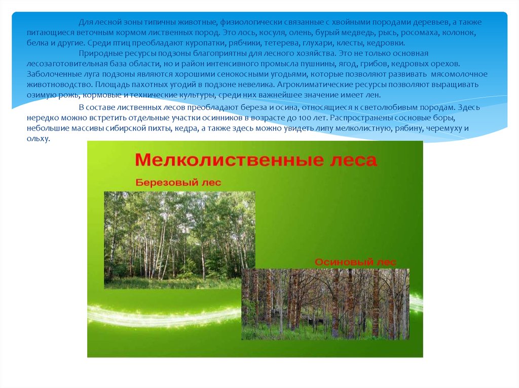 Какое лето в зоне лесов. Подзона лиственных лесов. Лесные зоны России презентация. Подзоны Лесной зоны. Лесные зоны презентация.
