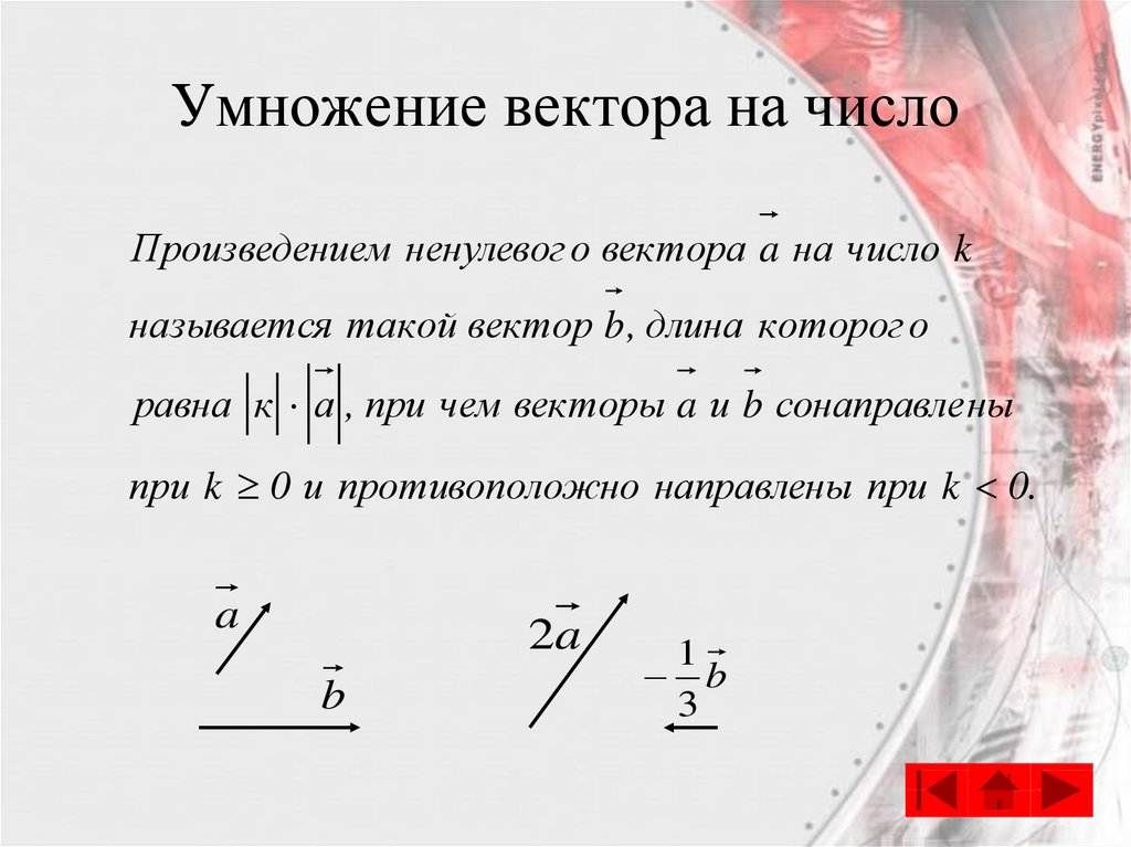 Умножение вектора на число координаты. Умножение вектора на число координаты