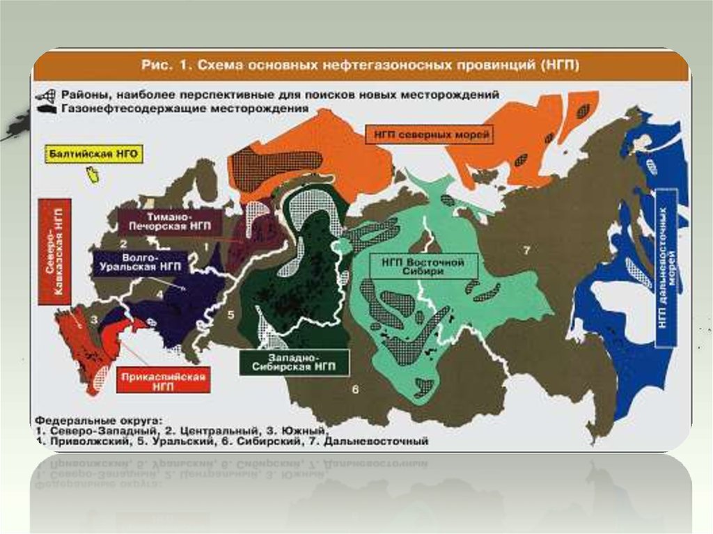 Реферат: Особенности развития и размещения газовой промышленности России