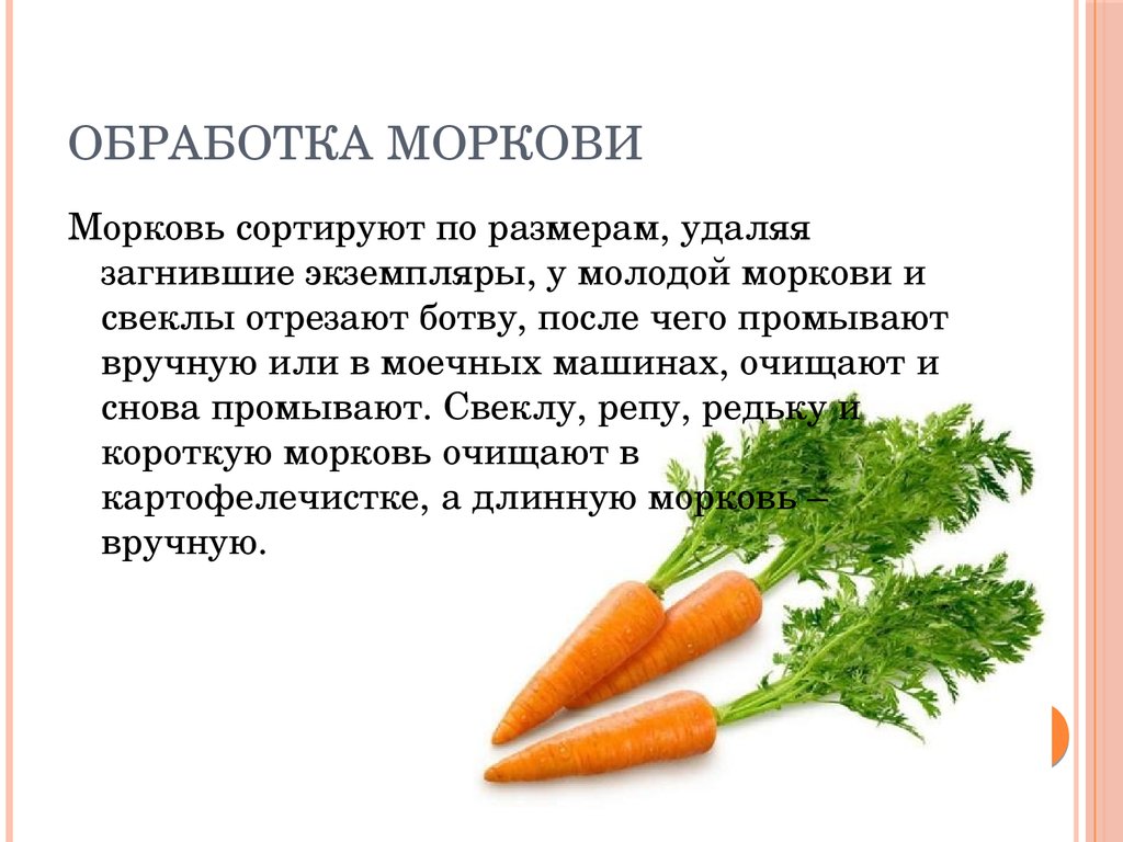 Обработка моркови