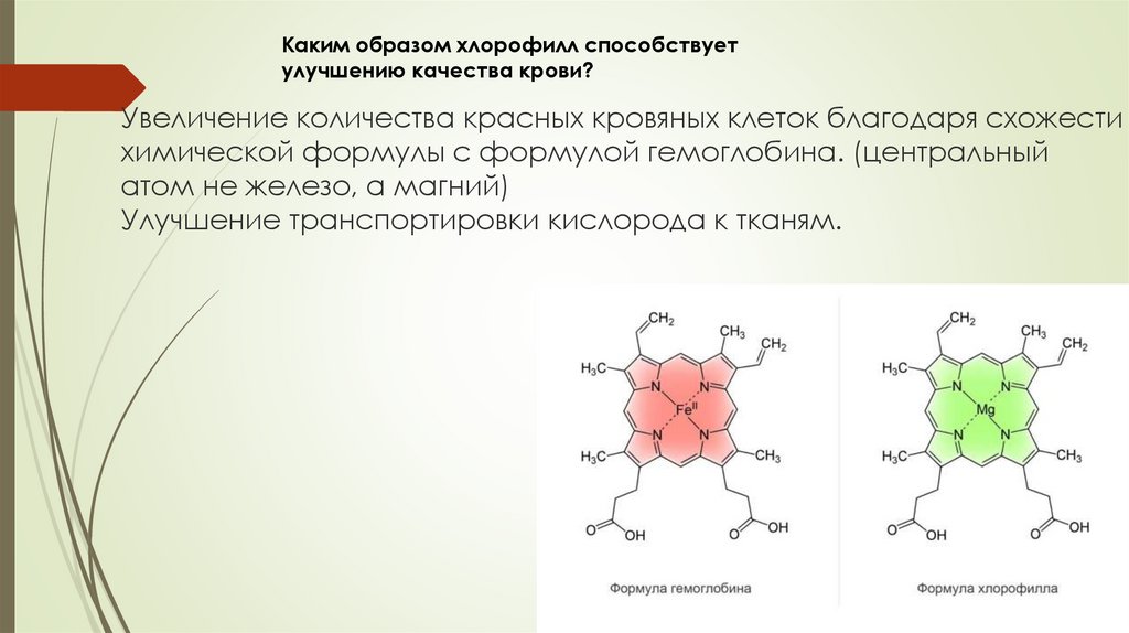 Хлорофилл химический состав. Строение гемоглобина и хлорофилла. Хлорофилл формула. Хлорофилл формула химическая. Формула гемоглобина и хлорофилла.