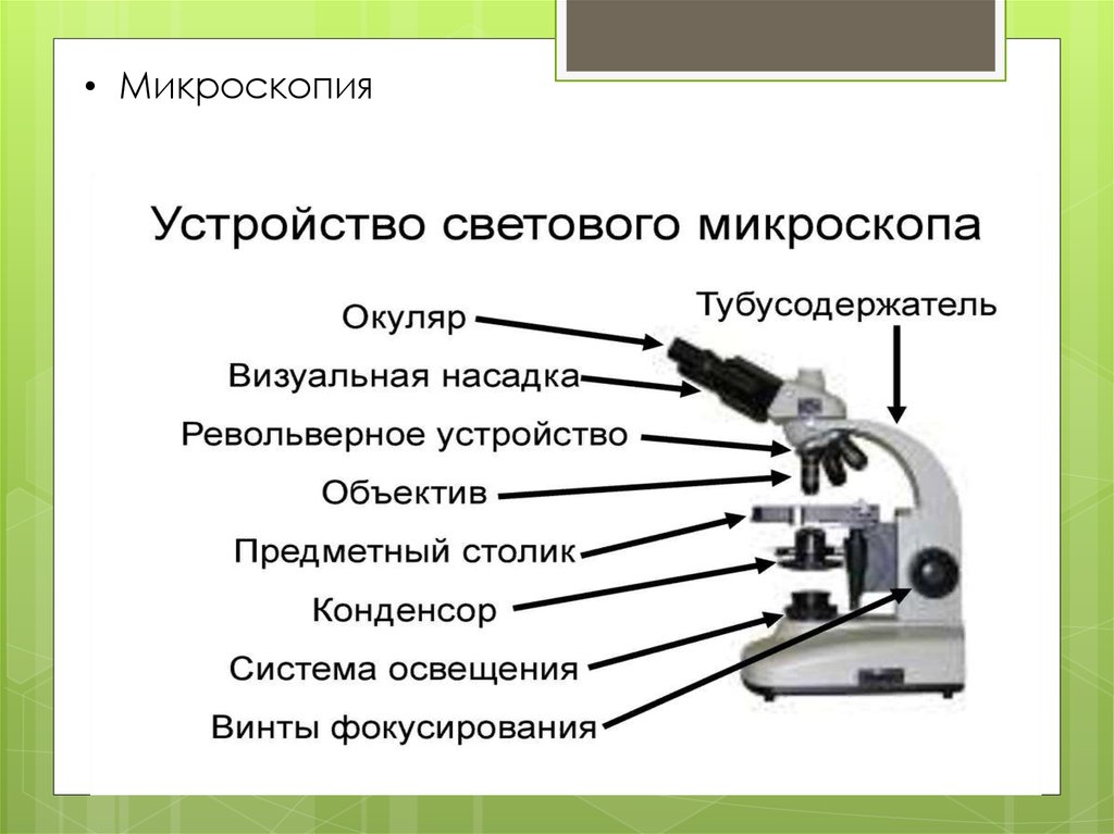 Детали цифрового микроскопа 5 класс биология. Схема светового микроскопа. Техническая схема светового микроскопа. Строение цифрового микроскопресс. Схема устройства светового микроскопа.
