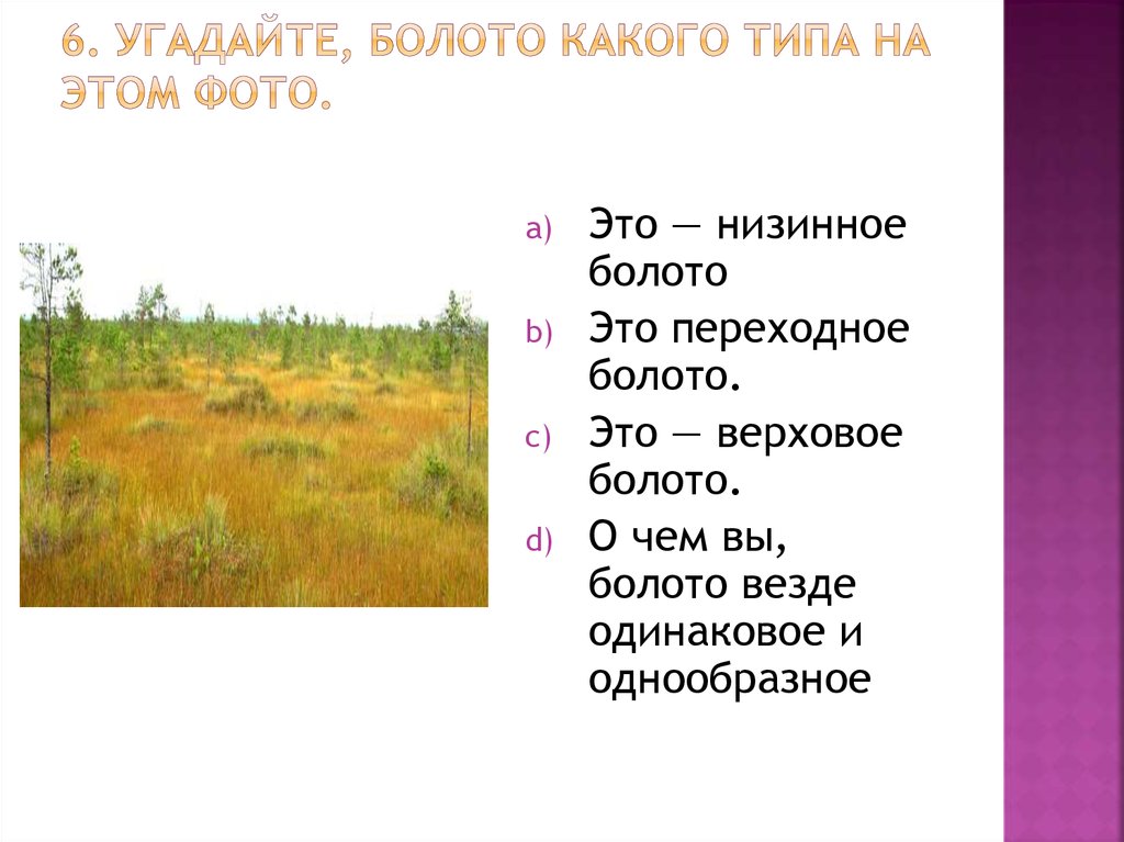 Анализ стиха топи да болота. Топи да болота Есенин. Болото это определение 2 класс. Болота какое число. Болото какое прилагательное.