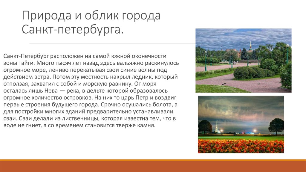Природа Петербурга Фото