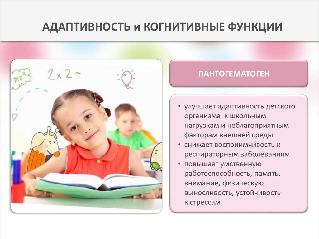 АДАПТИВНОСТЬ и КОГНИТИВНЫЕ ФУНКЦИИ