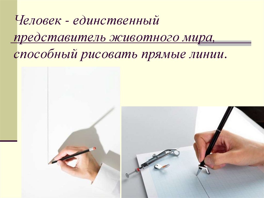 Единственный представитель. Карандашом чертим прямую линию. Человек рисует прямые линии. Интересные факты о прямых линиях. Рисунки прямые для работы.