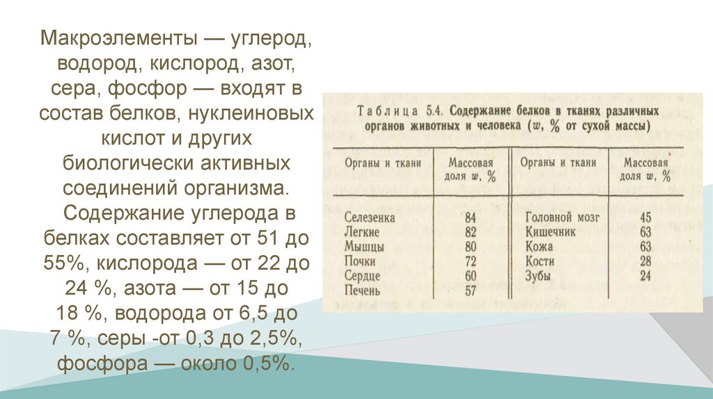 Углерод содержит кислород. Макроэлементы кислород. Содержание азота в белках. Макроэлементы азот. Содержание углерода в организме человека.