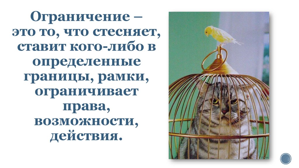 Ограничение – это то, что стесняет, ставит кого-либо в определенные границы, рамки, ограничивает права, возможности, действия.