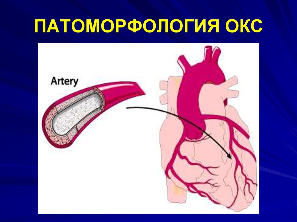 Открытая окс