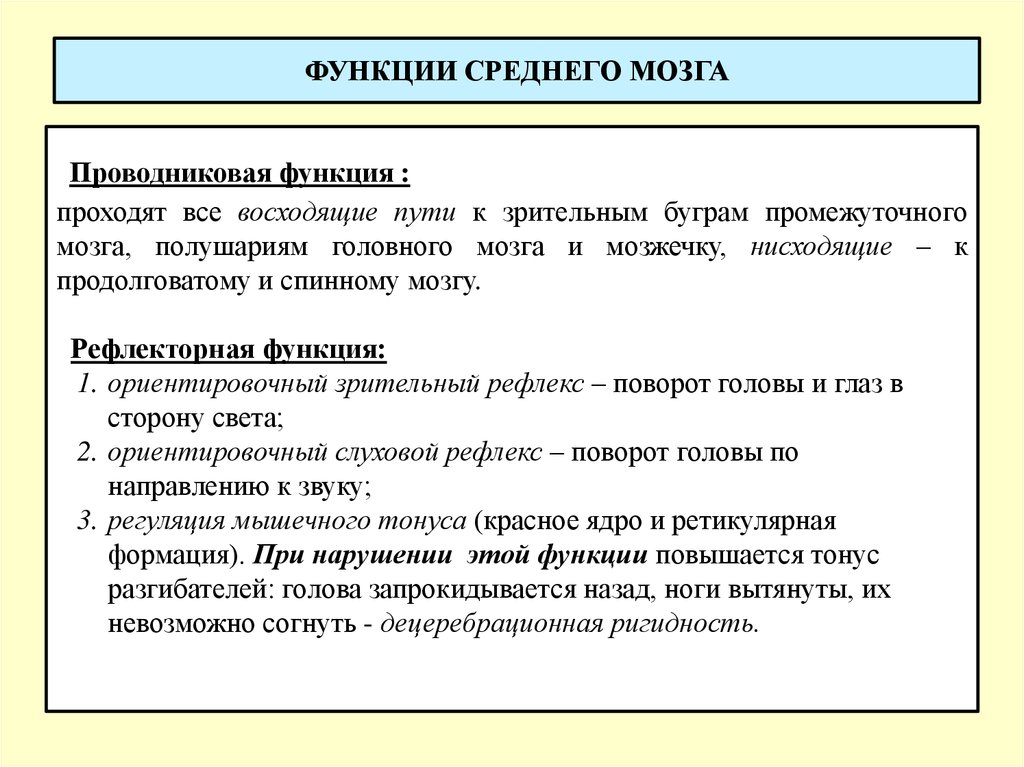 Рефлексы промежуточного мозга человека. Средний мозг функции проводниковая и рефлекторная. Перечислите функции среднего мозга. Физиология среднего мозга его функции. Средний мозг функции кратко.