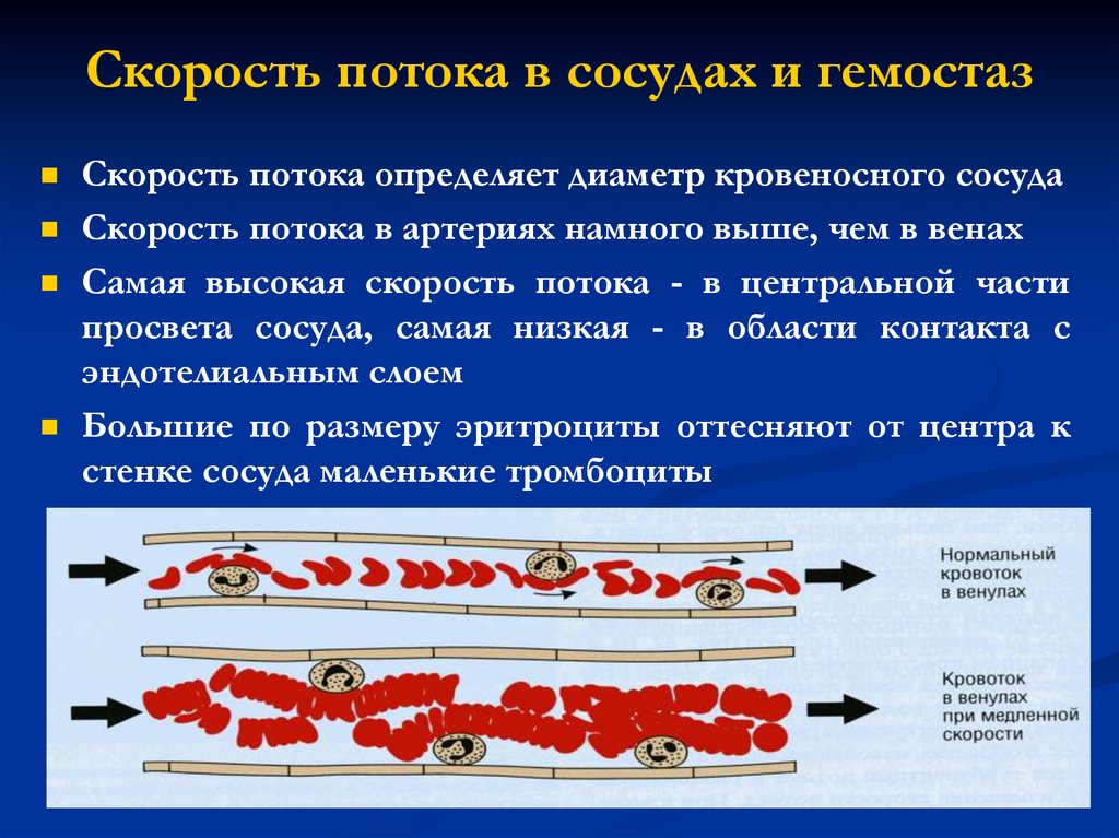 Система гемостаза презентация