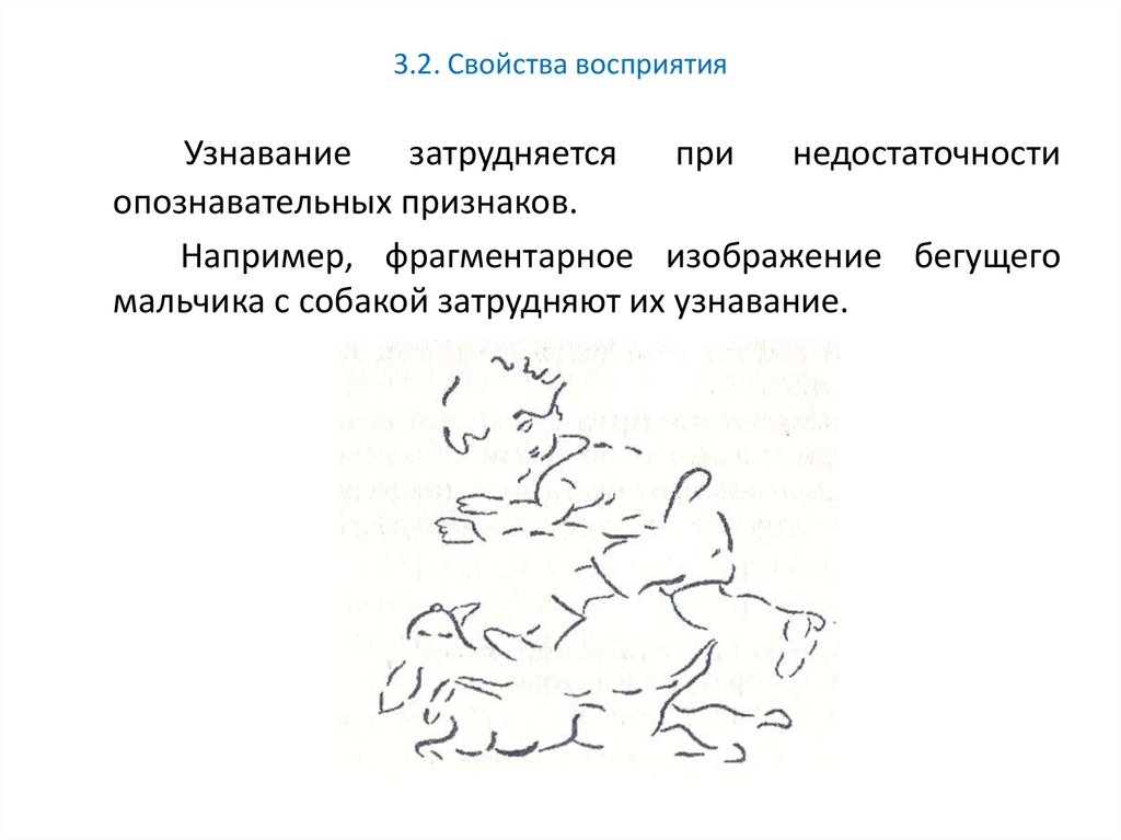 Построение перцептивного образа восприятия