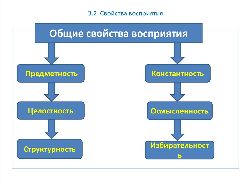 Феномены восприятия схема