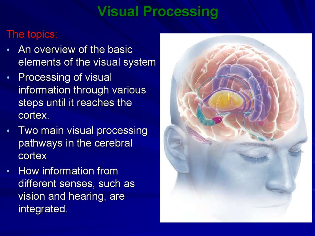 Visual Processing - online presentation
