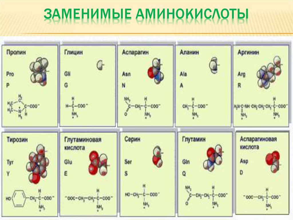 Аминокислоты москва. Классификация аминокислот заменимые и незаменимые. Классификация аминокислот биохимия заменимые незаменимые. Аминокислоты. Заменимые аминокислоты.