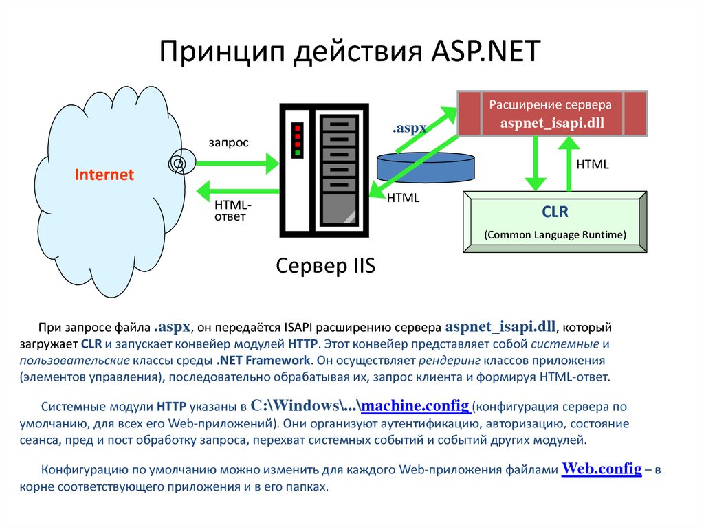 Web net