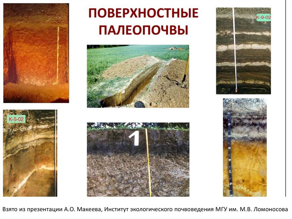 Почва древней. Палеопочвы. Древние почвы. Палеопочвы презентация. Почвоведение в древности.