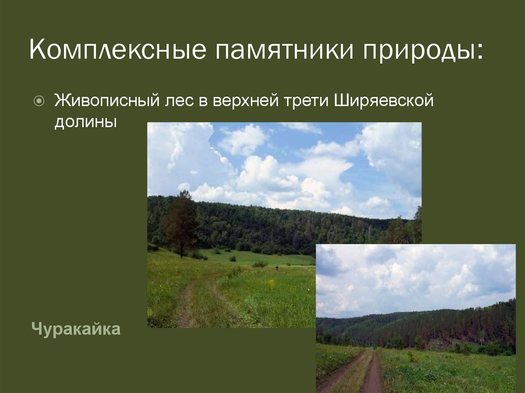 Памятники природы конспект. Комплексные памятники природы. Комплексные памятники природы Краснодарского края. Природа и памятники природы в Мордовии. Памятник природы проект.