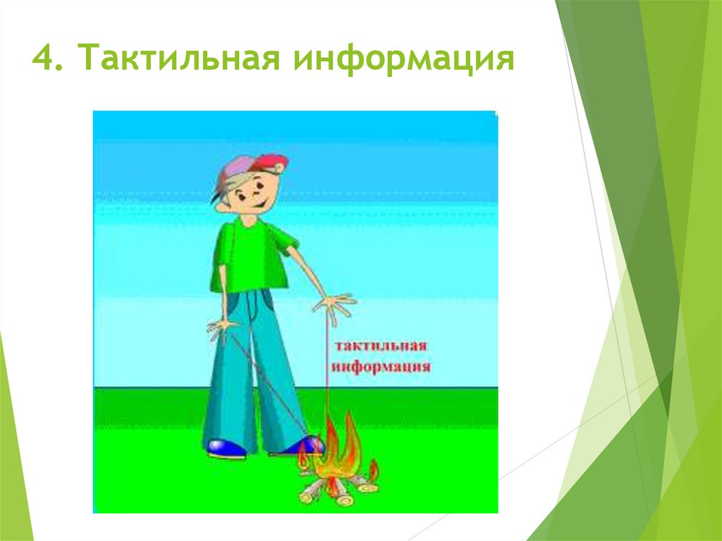 Тактильную информацию человек получает. Тактильную информацию человек получает