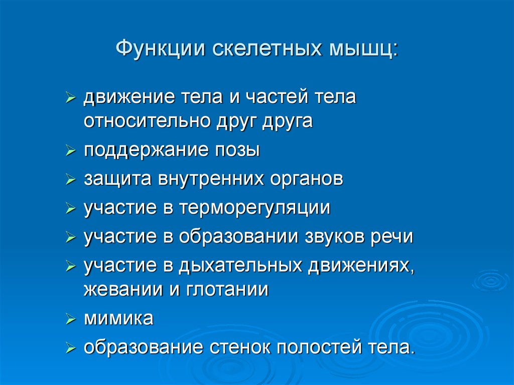 Функция движения. Функции скелетных мышц. Функции и свойства скелетных мышц презентация.